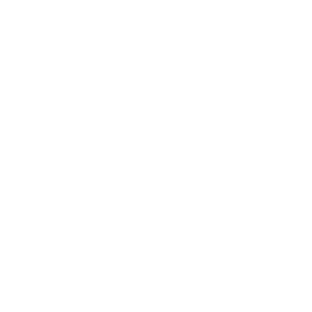 SOC 1 Type II
