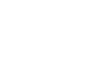 Patties Food Group